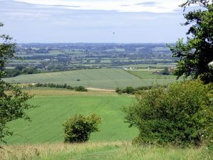 Site of Special Scientific Interest SSSI