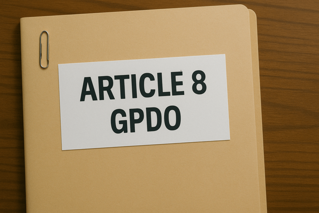 Article 8