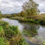 River 50147