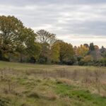 moore place homes